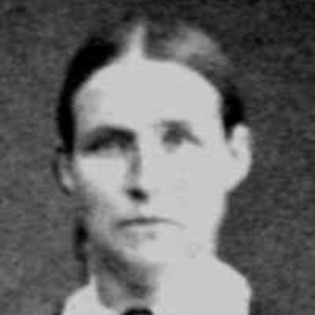 Mary Abby Terry (1840 - 1917) Profile